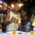 Bloco Skol Folia